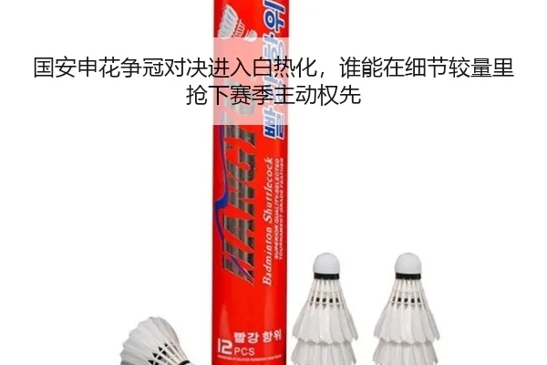 国安申花争冠对决进入白热化，谁能在细节较量里抢下赛季主动权先